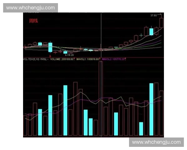 打造强势体育品牌形象 提升市场竞争力与消费者忠诚度的战略路径分析