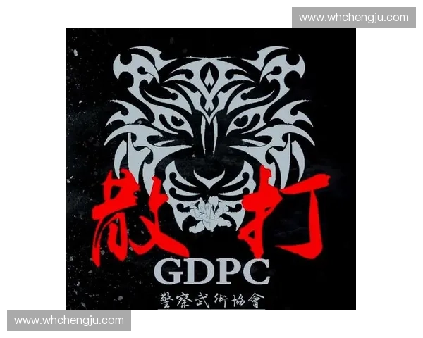 围绕专业训练袋全面提升格斗与体能表现的系统化实战训练指南