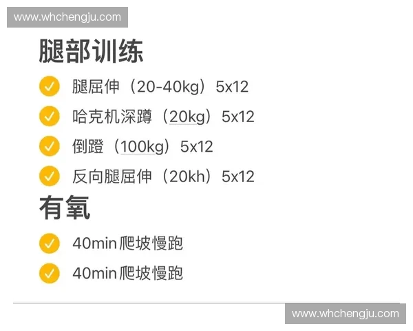 以循环训练为核心的全身力量与耐力提升方法解析及应用指南