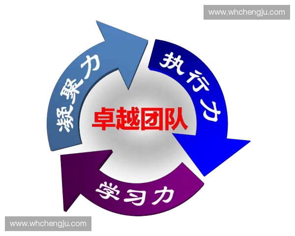 以团队精神为核心凝聚力量共创卓越业绩新局面